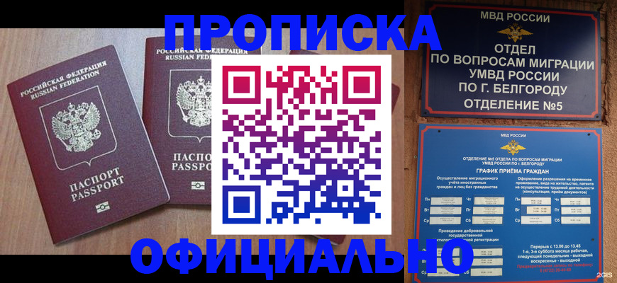 найти адрес прописки в Каргополе